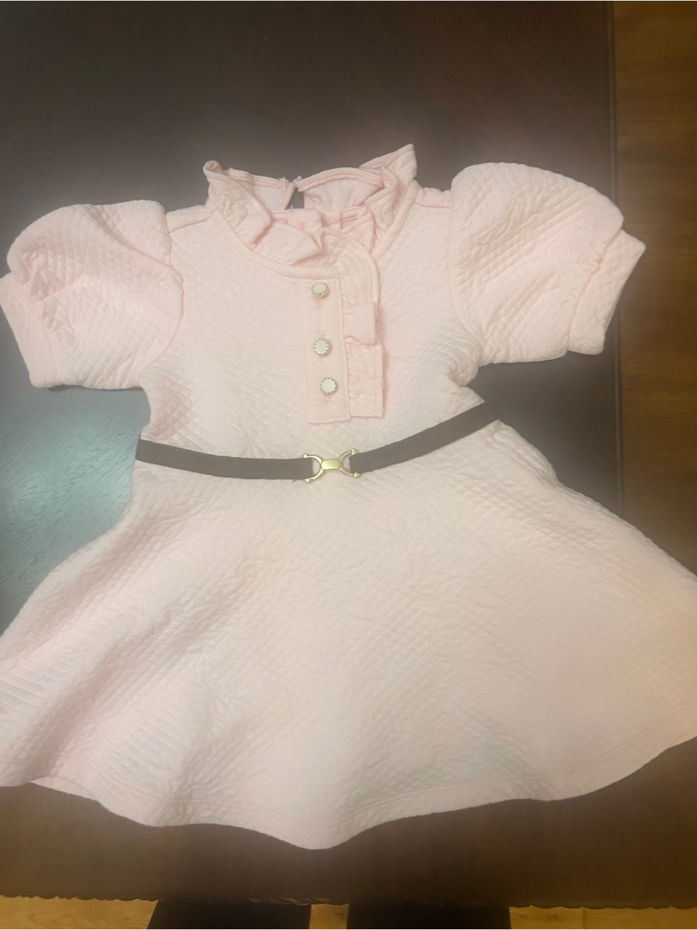 Janie and Jack Baby Girl Pink Quilted Party Dress 6-12M Belted